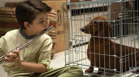 Wiener-Dog on DVD August 23, 2016 starring Julie Delpy, Greta Gerwig, Kieran Culkin, Danny DeVito. People -- including Dawn Wiener, who as a child was ...